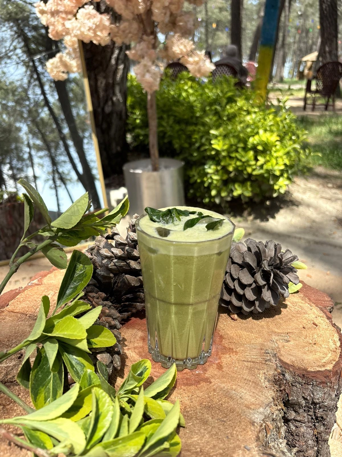 MATCHA SMOOTHİE